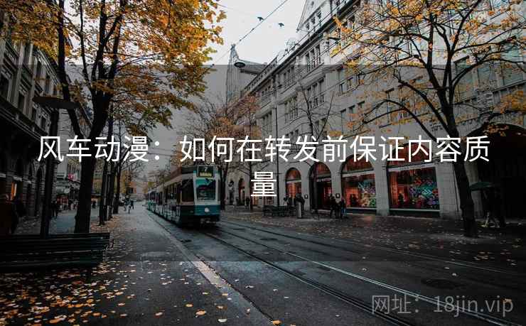 风车动漫：如何在转发前保证内容质量