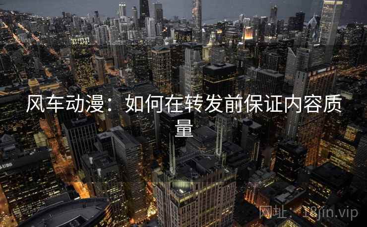 风车动漫：如何在转发前保证内容质量