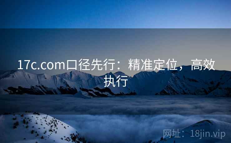 17c.com口径先行:精准定位,高效执行